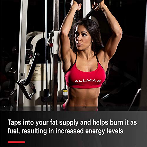 ALLMAX Nutrition Liquid L-Carnitine 1500, Fruit Punch, 16 oz (473 ml)