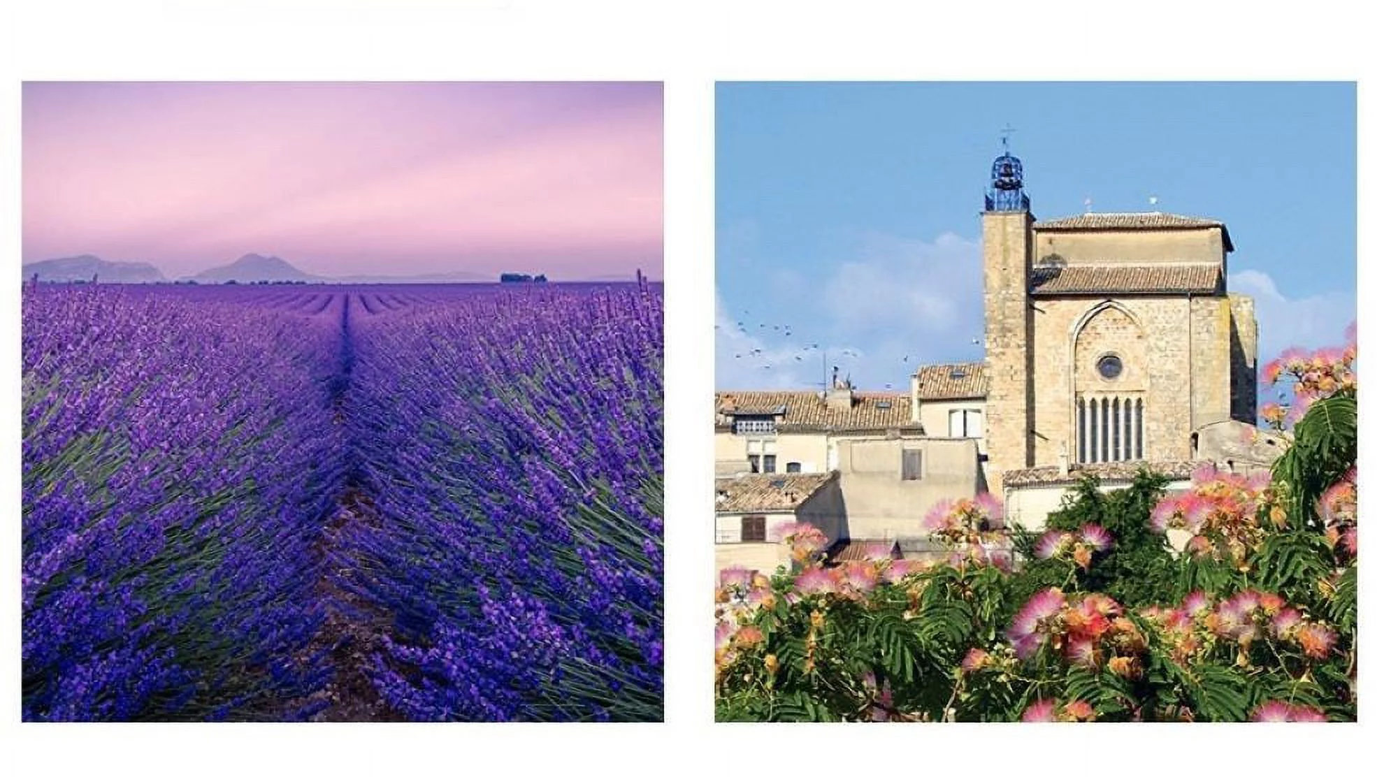 Du Monde a La Provence Banane Banana/Fraise Strawberry Soap Made in France 100g - Combi-Pack