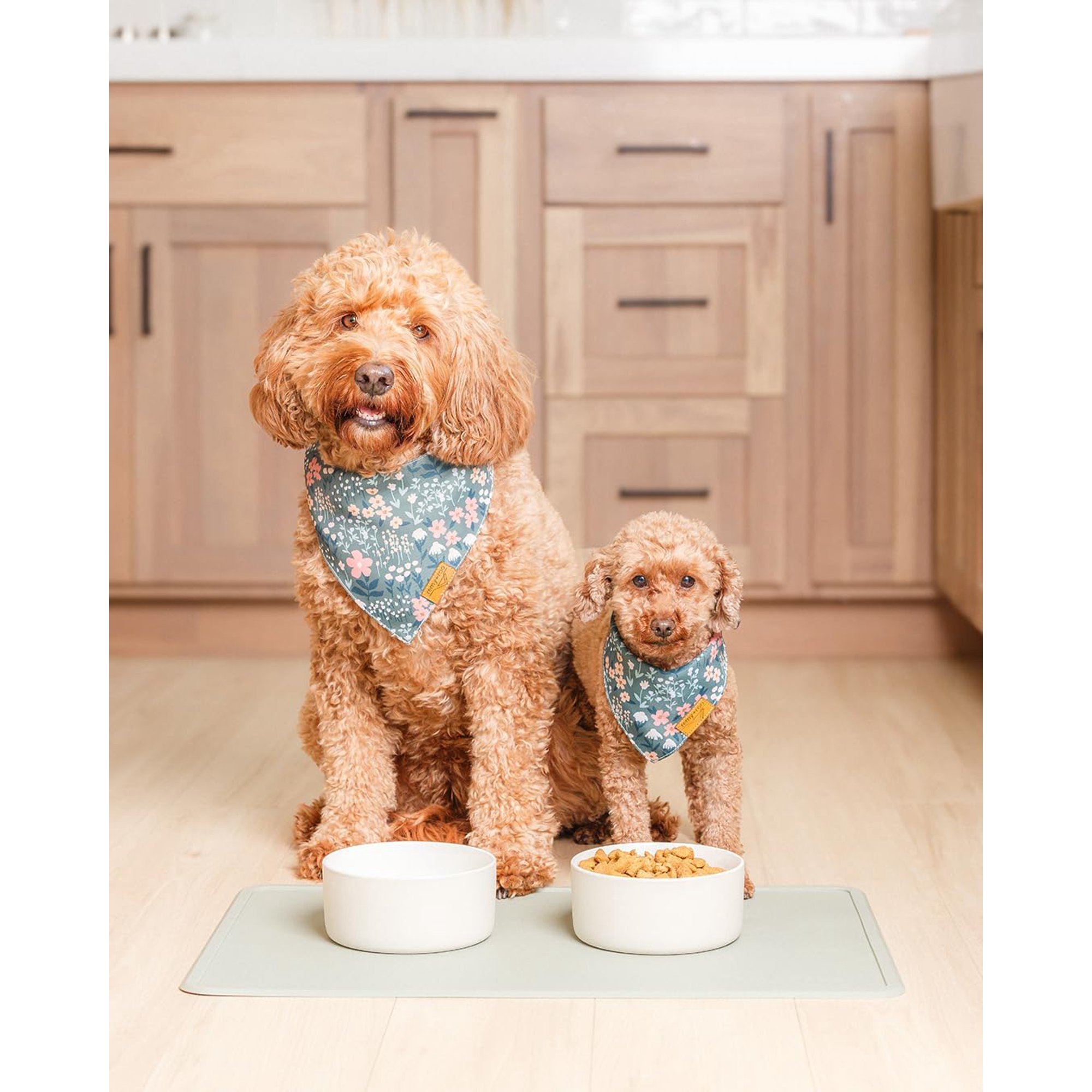 Sage Silicone Dog Food Mat |  Waterproof | Non-Slip | Dishwasher Safe