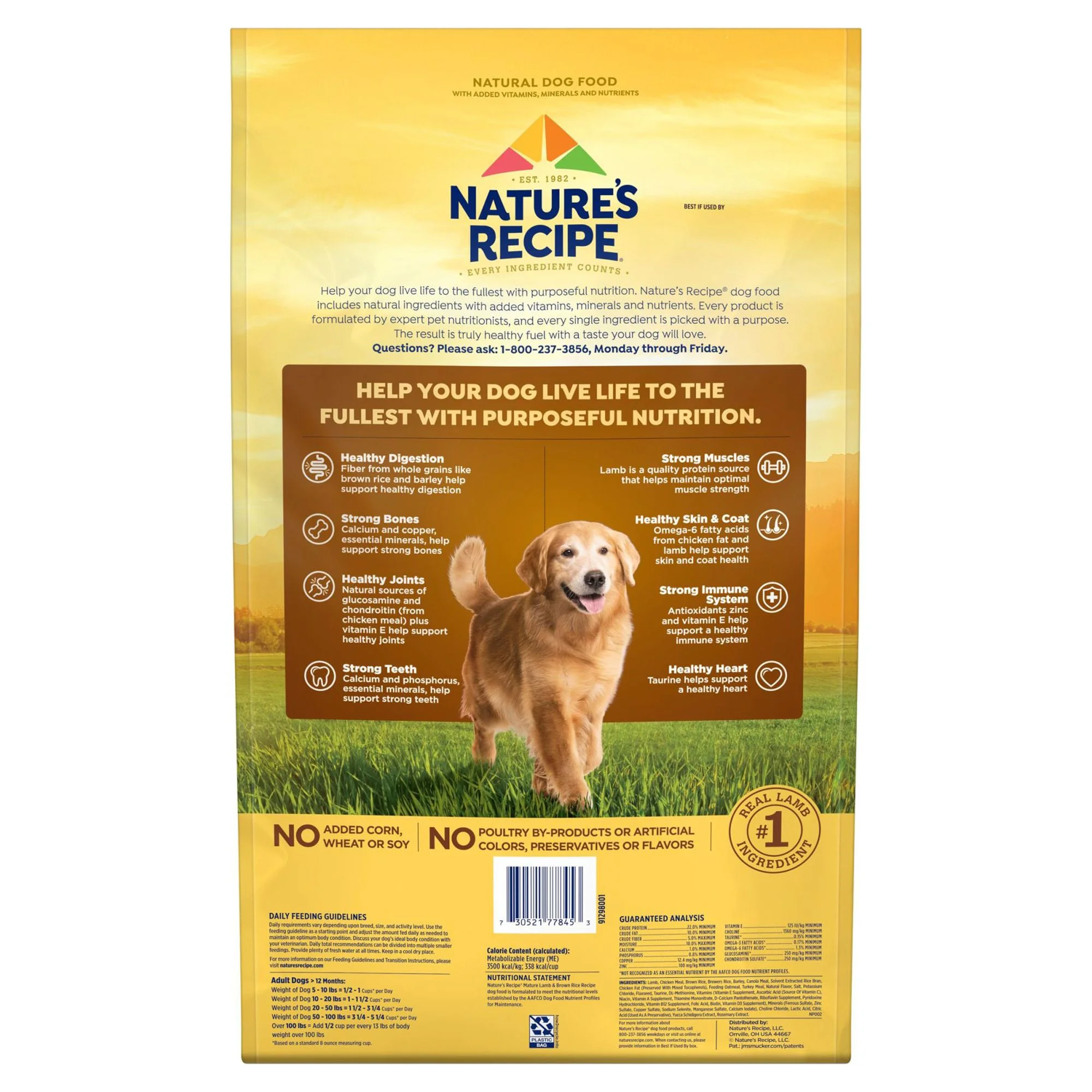 Nature’s Recipe Mature Lamb and Rice Recipe, Dry Dog Food,24lb Bag