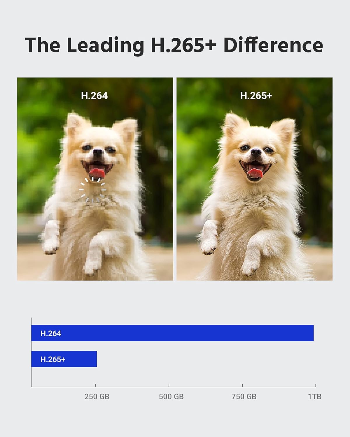 ANNKE CCTV Camera System 8 Channel 5MP 5-in-1 H.265+ DVR and 8 x 1080P HD Weatherproof Dome Cameras, PIR Detection, White Light Alarm, Email Alert with Snapshots, 1 TB Hard Drive – E200