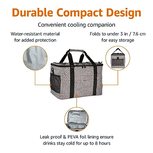 Amazon Basics Soft Insulated Cooler