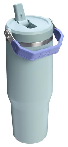 Stanley IceFlow Flip Straw Tumbler with Handle 30 oz | Twist On Lid and Flip Up Straw | Leak Resistant Water Bottle | Insulated Stainless Steel |BPA-Free | Lilac