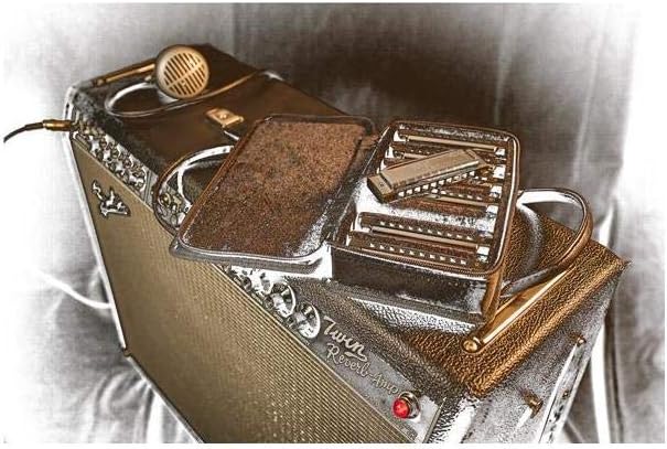 Fender Blues Deluxe Harmonica, Pack of 7 with case (Keys C, G, A, D, F, E, B Flat)