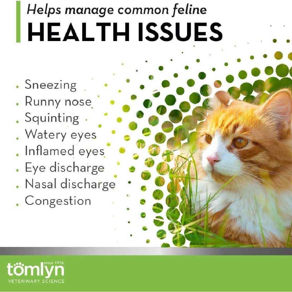 Tomlyn L-Lysine Immune Support Gel for Cats - Pet Supplies online store