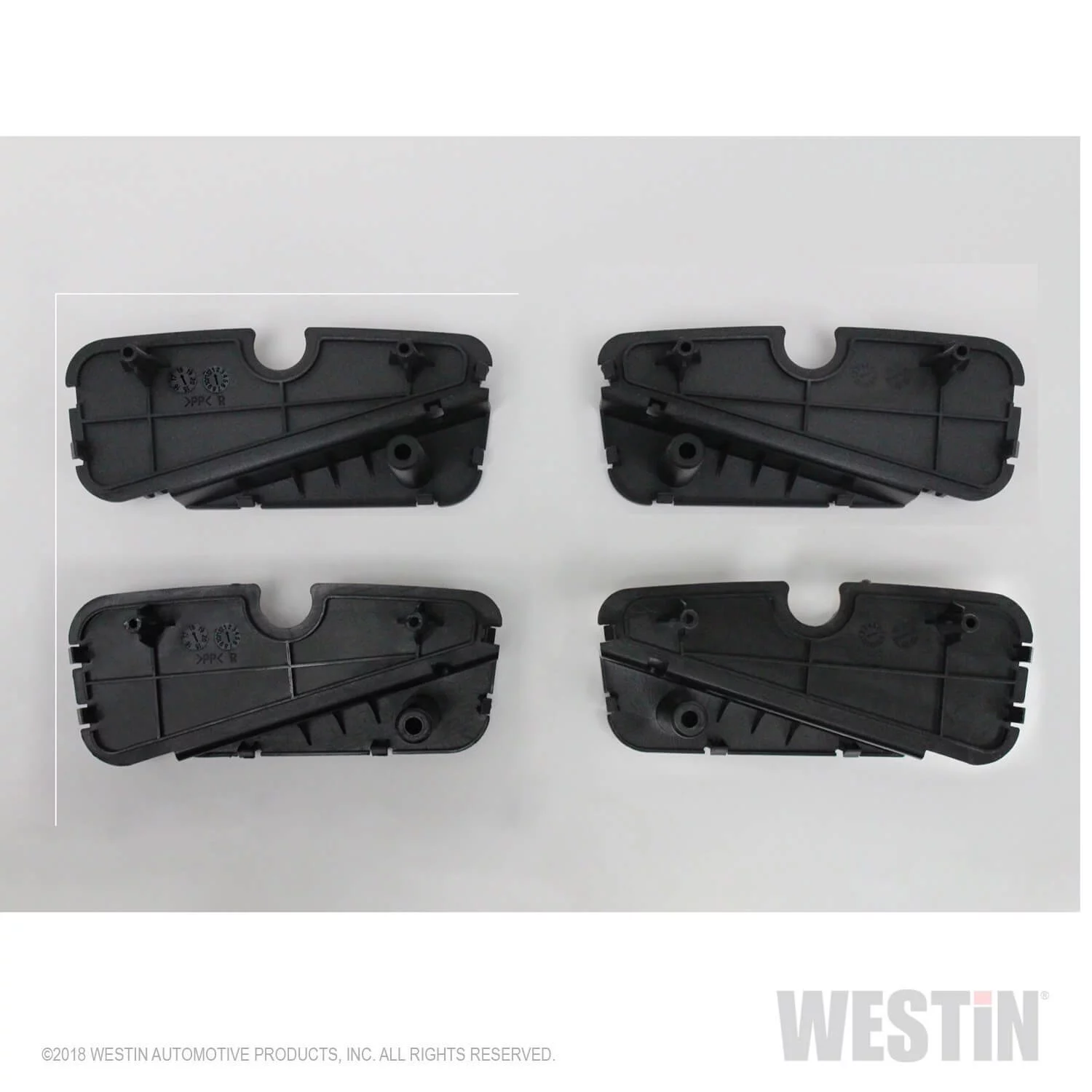 Westin 28-51003 R5 Nerf Step Bar LED Light Kit