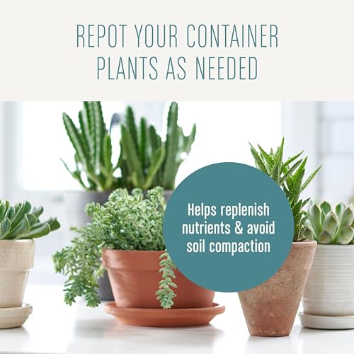 Miracle-Gro Houseplant Potting Mix - Fertilized Soil, Designed to be Less Prone to Gnats, 4 qt. (2-Pack)