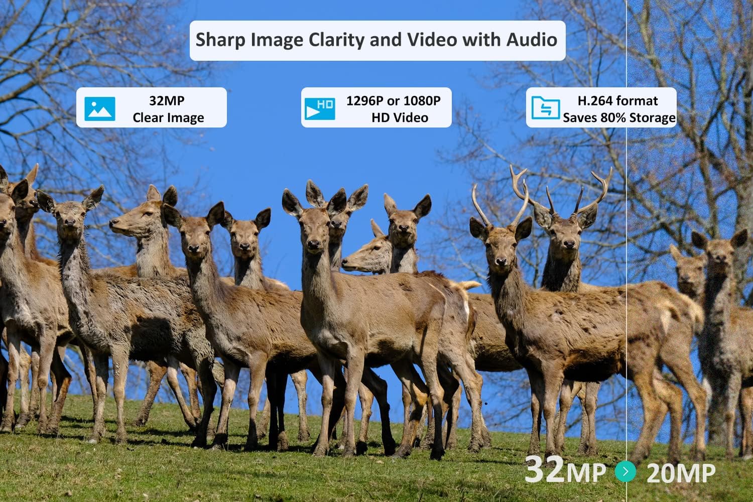 Meidase P100 WiFi Trail Camera (2022), 32mp 1296p, Game Cameras with 100ft Night Vision Motion Activated Waterproof, Compatible with Bluetooth, Dedicated Phone App