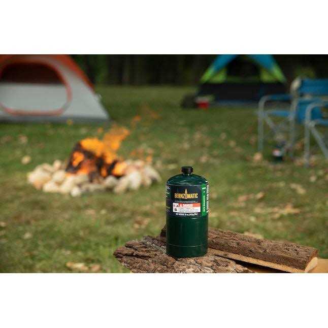 Bernzomatic 1 lb. All-Purpose Propane Gas Cylinder