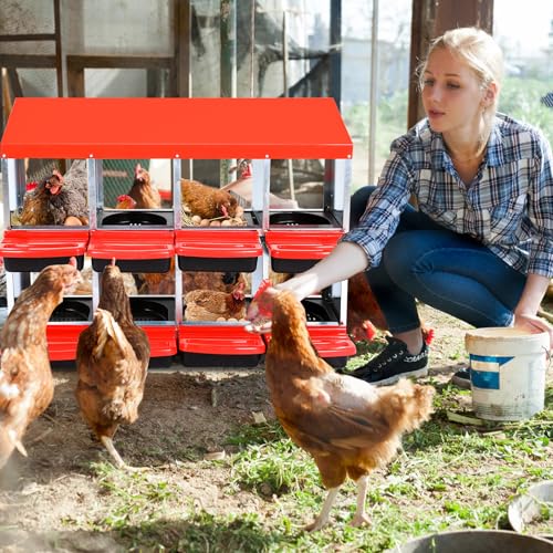 Chicken Nesting Box, 10 Hole 2 Layer Hen Nest Box with Legs, Roll Away Eggs Laying Boxes,Cleanable Pull Out Hen Roosting Boxes