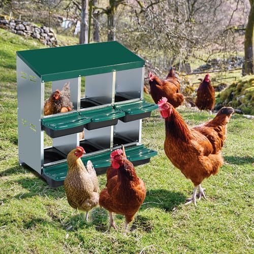 Chicken Nesting Box, 10 Hole 2 Layer Hen Nest Box with Legs, Roll Away Eggs Laying Boxes,Cleanable Pull Out Hen Roosting Boxes