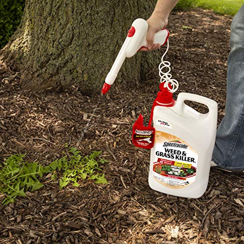 Spectracide Weed & Grass Killer (Refill), Use On Driveways, Walkways and Around Trees and Flower Beds, 1.3 Gallon