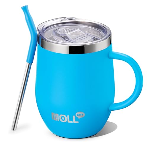 Tumbler with Lid and Straw-12 oz Stainless Steel Double Wall Vacuum Insulated Tumbler Cup with Handle (Canyon Red-Sky Blue)