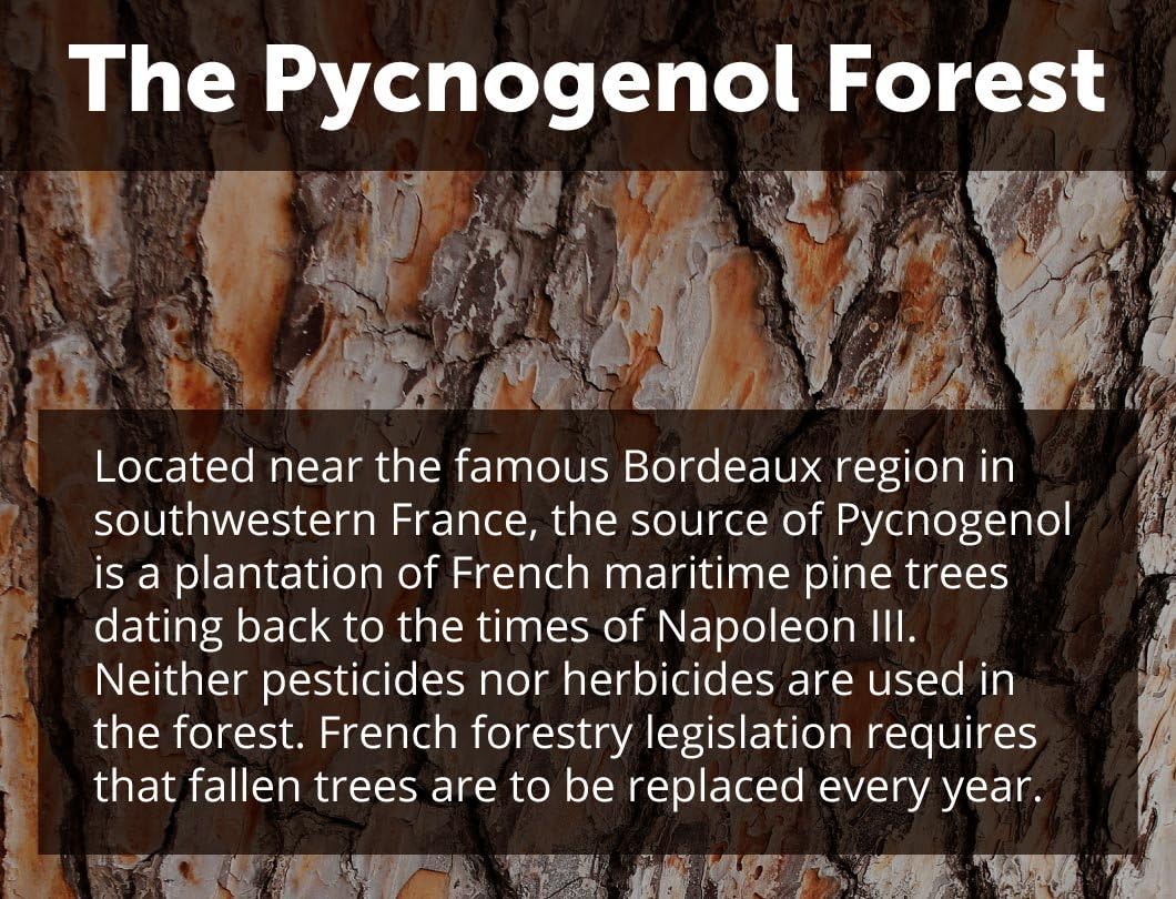 Dr. Whitaker's Clinical Grade Pycnogenol, 60 Capsules (60-day supply)