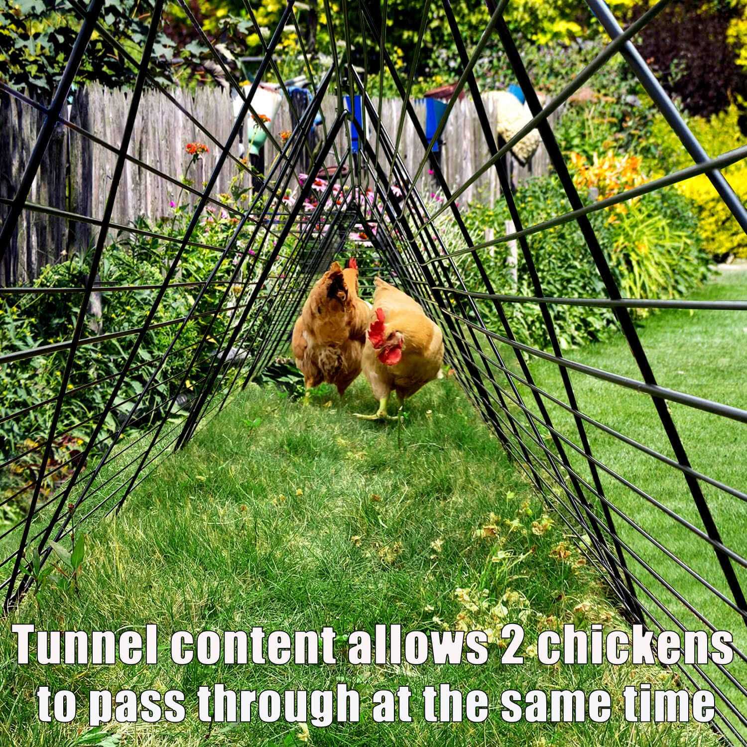 Chicken Tunnels for Yard Chicken Tunnels for Outside Chicken Run Coop Tunnel - Pet Supplies online store