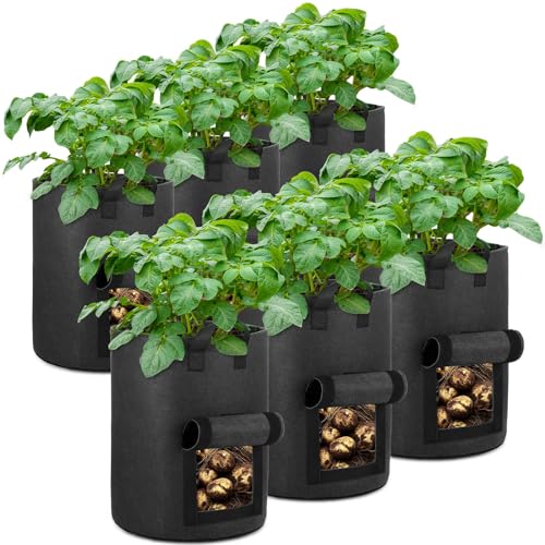 6-Pack 10 Gallon Potato Grow Bags with Flap Window, Heavy Duty Aeration Fabric Pots with Handles for Garden and Planting(Black)