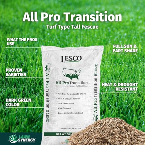 Lesco All-Pro Transition Tall Fescue Grass Seed Blend – (10 lbs) Drought-Tolerant, Heat & Shade Resistant, Insect-Resistant Lawn Seed for Durable Turf