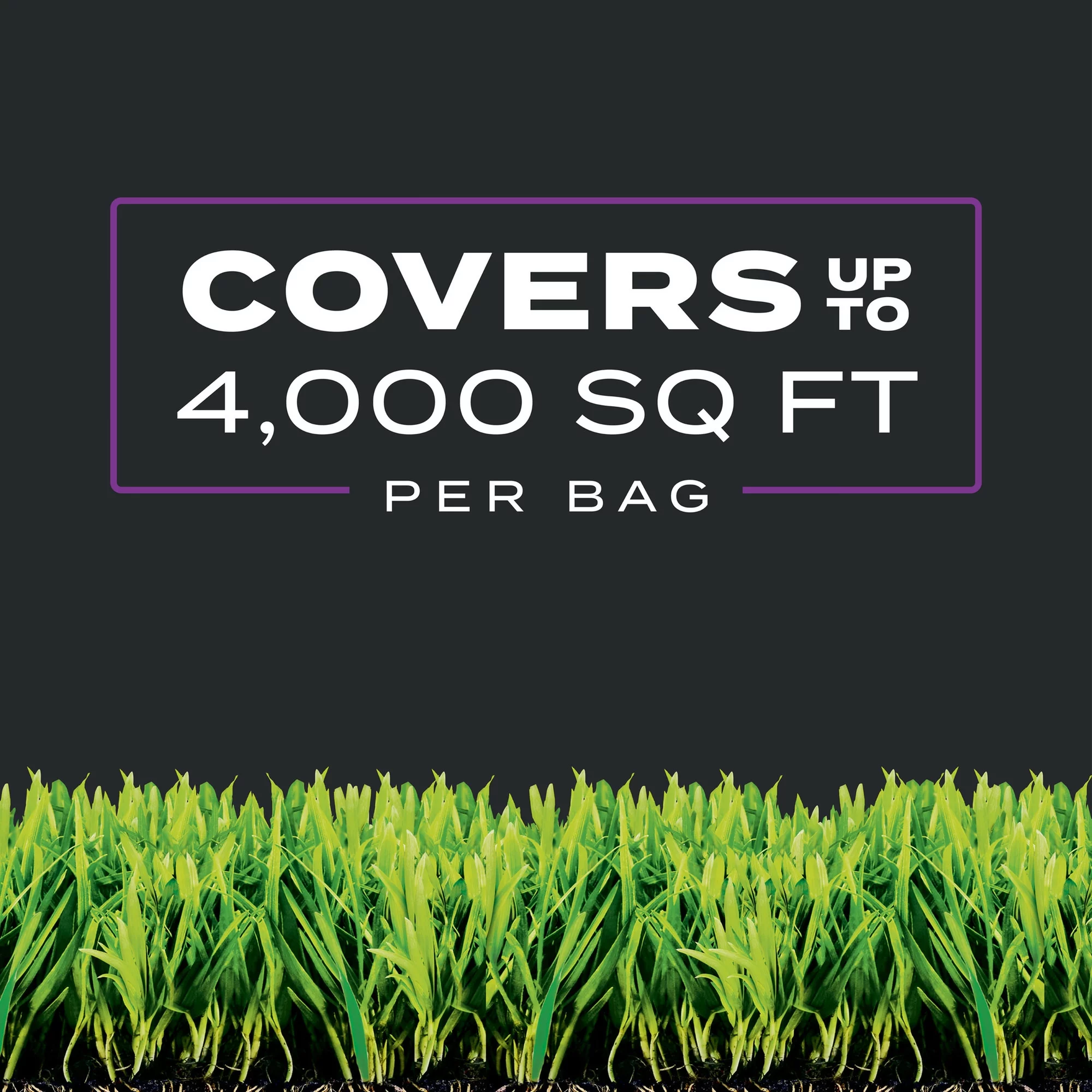 Scotts Turf Builder Southern Triple Action, 4,000 sq. ft., 13.32 lbs.