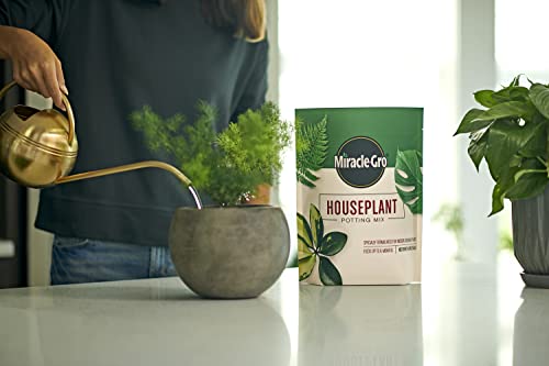Miracle-Gro Houseplant Potting Mix - Fertilized Soil, Designed to be Less Prone to Gnats, 4 qt. (2-Pack)