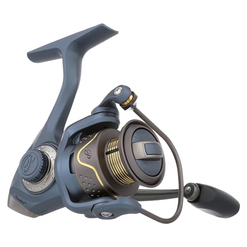 Pflueger President Spinning Fishing Reel