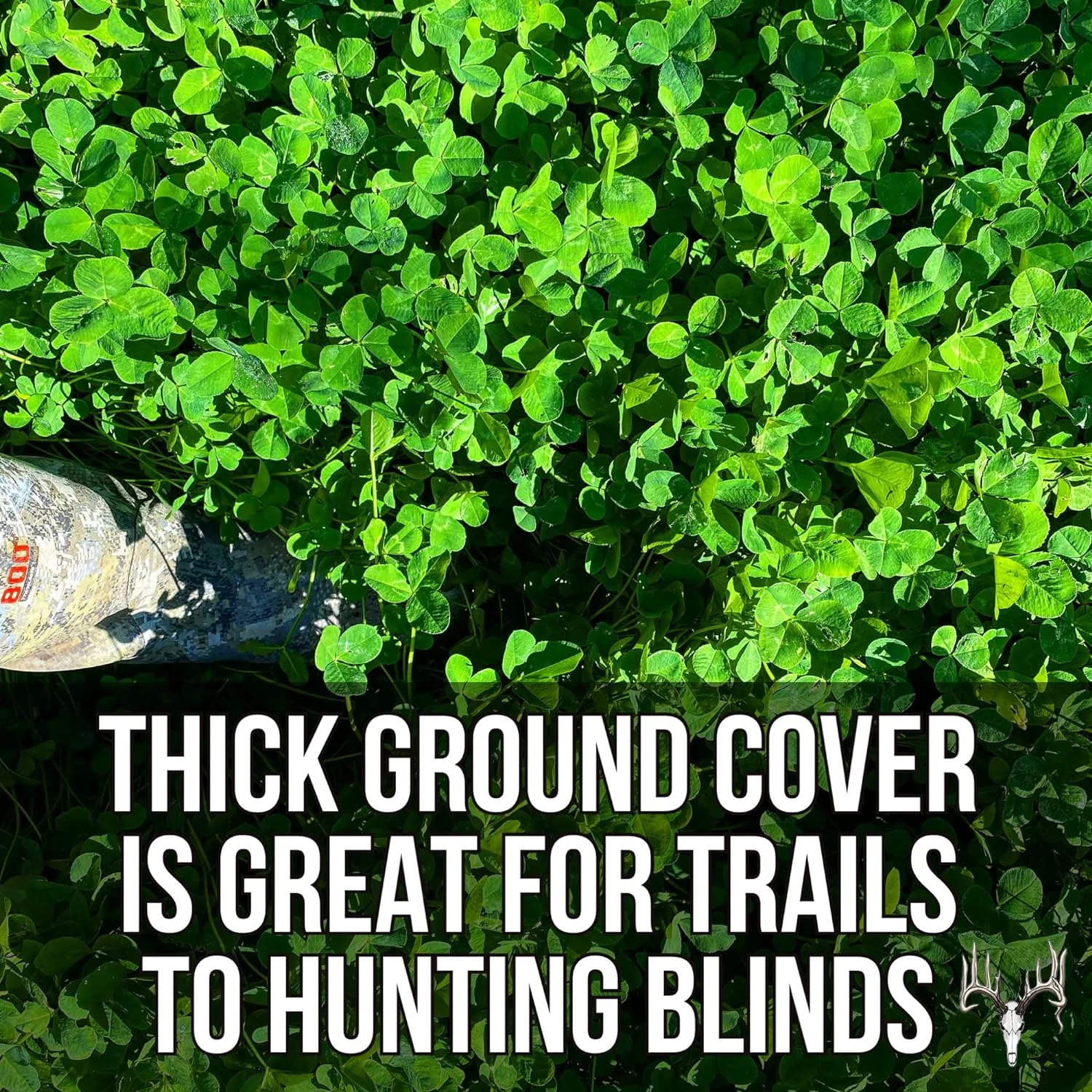 Crooked Bend Four Clover Combo Blend, 25LB Bulk, Perennial Food Plot Seed, Pheasant, Duck, Dove, Wildlife, Rabbit, Elk, & Wild Turkey Attractant, Grow Ground Cover & Whitetail Deer Hunting Food Plots