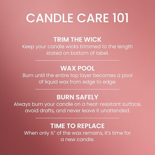 Yankee Candle Sugared Cinnamon Apple, Scented Candle, 22oz Large Jar with up to 150 Hour Burn Time, Giftable