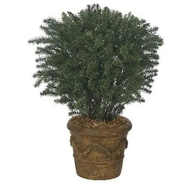37 Inch Polyblend Taxus Yew - Green