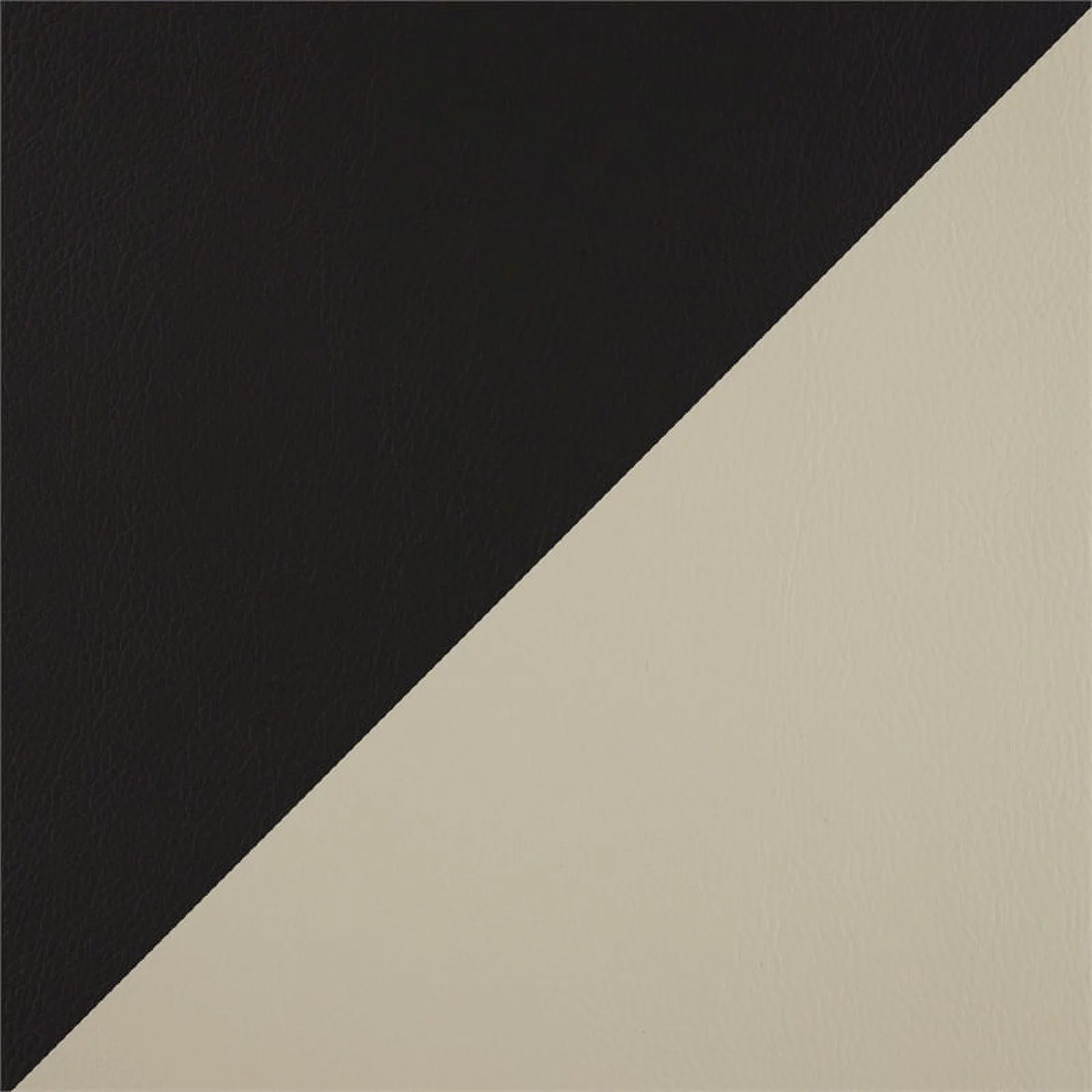 Lexicon Amite Faux Leather Upholstered Double Reclining Loveseat in Beige