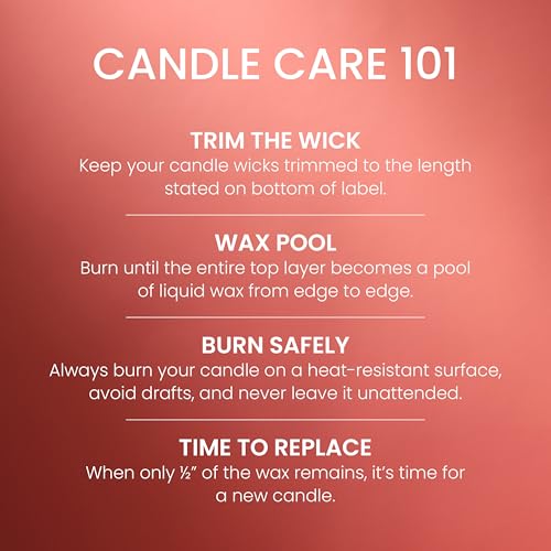 Yankee Candle Sugared Cinnamon Apple, Scented Candle, 22oz Large Jar with up to 150 Hour Burn Time, Giftable