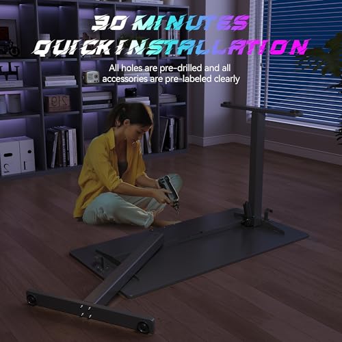 Electric Standing Desk Adjustable Height 48