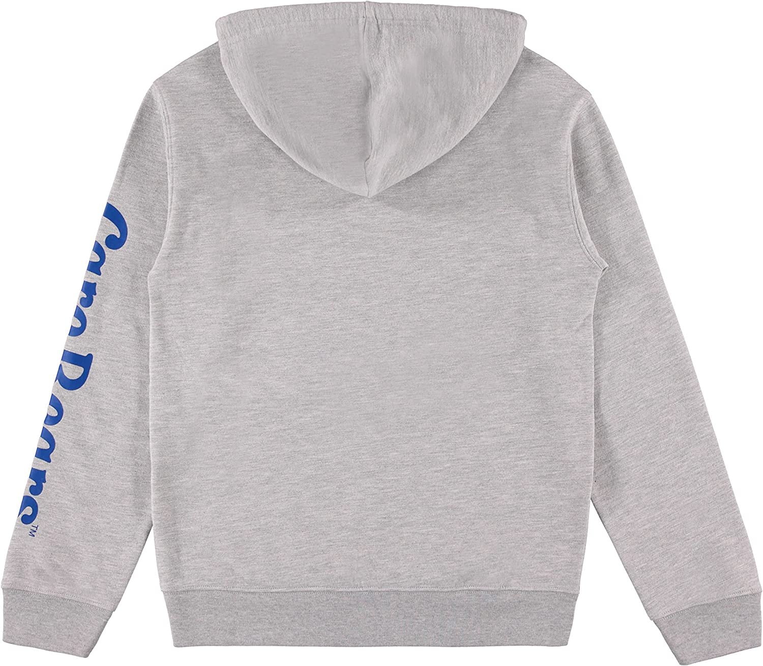 Care Bears Ladies Hoodie, Cheer Friends Group Sweatshirt Heather Grey - XL