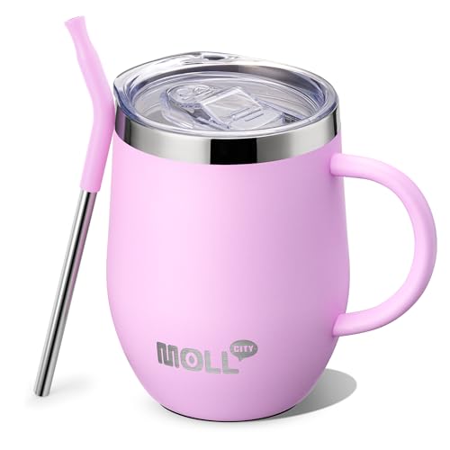 Tumbler with Lid and Straw-12 oz Stainless Steel Double Wall Vacuum Insulated Tumbler Cup with Handle (Canyon Red-Sky Blue)