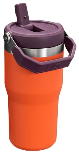 Stanley IceFlow Flip Straw Tumbler with Handle 30 oz | Twist On Lid and Flip Up Straw | Leak Resistant Water Bottle | Insulated Stainless Steel |BPA-Free | Lilac