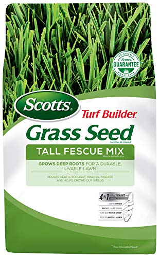 Scotts Turf Builder Grass Seed Tall Fescue Mix with Fertilizer and Soil Improver, Resists Harsh Conditions, 5.6 lbs.