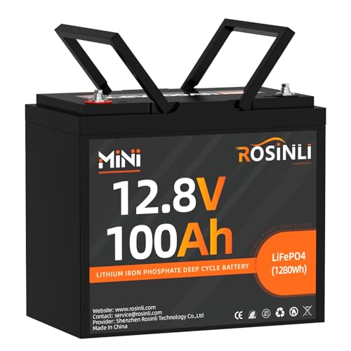 12V 100Ah BCI Group 24 LiFePO4 Battery, Built in 100A BMS, Max. 15000 Deep Cycle Lithium Rechargeable Battery for RV, Trolling Motor, Camping, Marine, Solar, Home Energy Storage