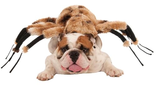 Rubie's Giant Spider Pet Costume, X-Large