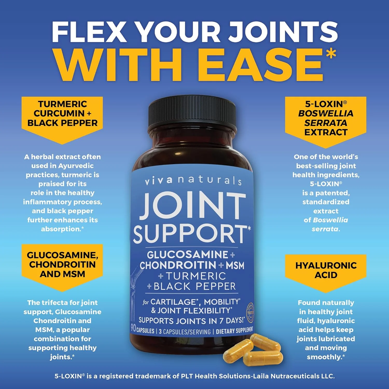viva naturals Joint Support Glucosamine Chondroitin MSM 90 Capsules Turmeric, Boswellia & Hyaluronic Acid - Joint Support for Mobility, Flexibility and Comfort