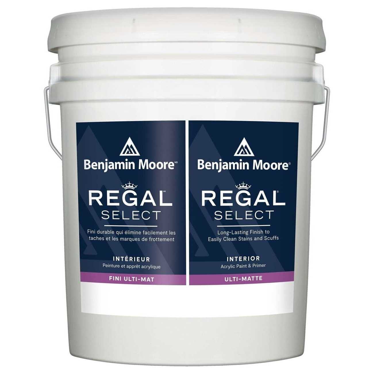 Benjamin Moore Regal Select Interior Paint - Shop Hardware Tools Online Store