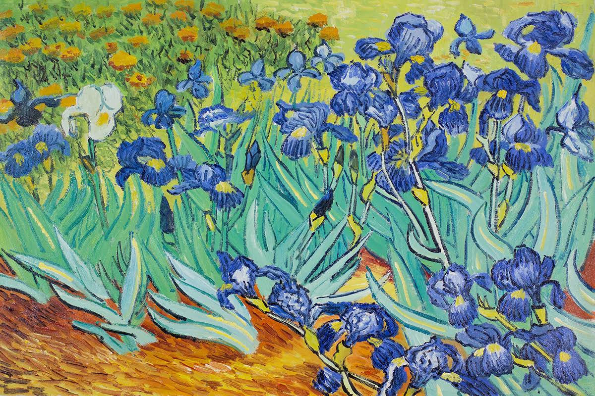 Van Gogh Paintings: Irises - Hand Painted Canvas Art