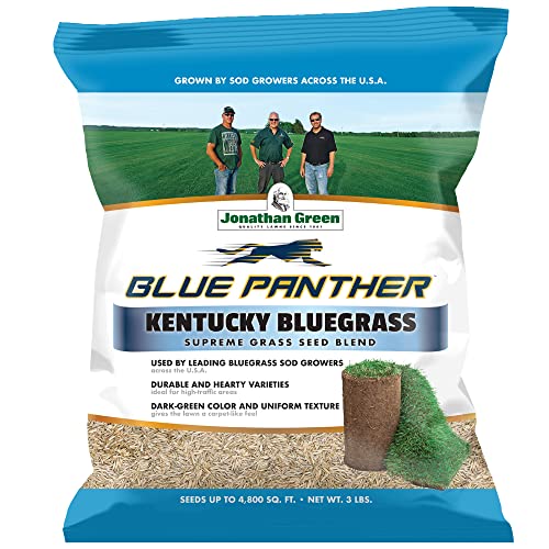 Jonathan Green (11980) Blue Panther Kentucky Bluegrass Grass Seed - Cool Season Lawn Seed (25 lb)