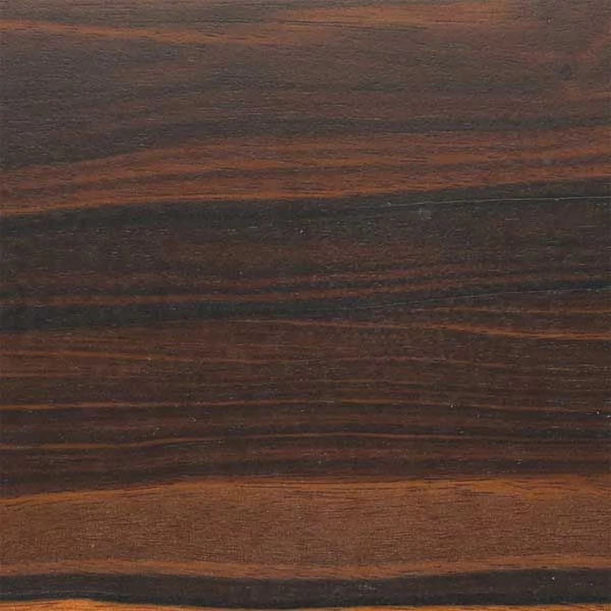 Woodcraft Ebony Macassar 1-1/2