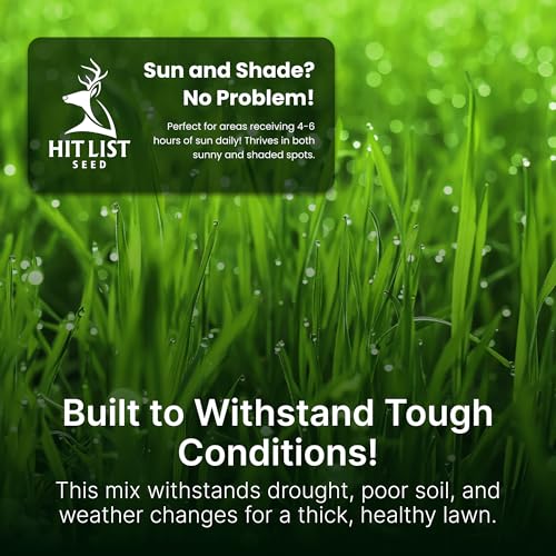 Sun and Shade Tall Fescue Grass Seed Mix, Drought Resistant, Thick Lawn, Fast Germination