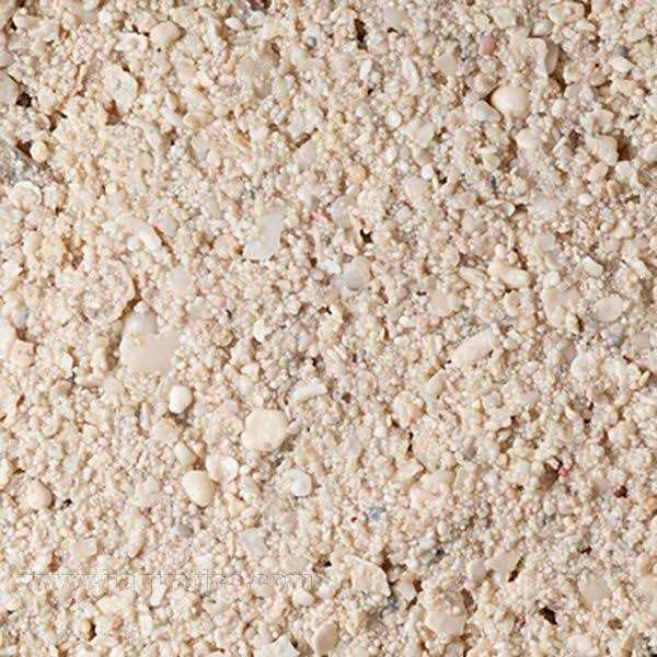 CaribSea Ocean Direct Caribbean Live Aquarium Sand - Pet Supplies online store