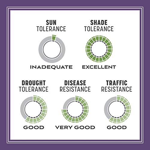 Pennington Smart Seed Dense Shade Grass Mix Bag 7 lb