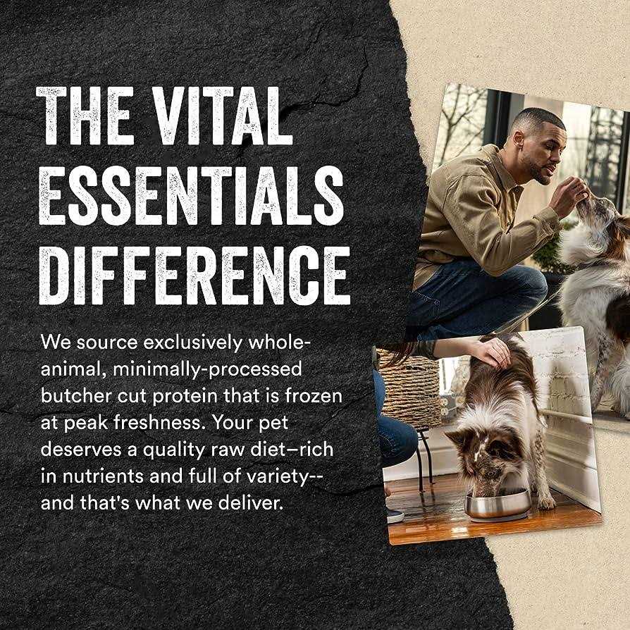 Vital Essentials Chicken Necks Freeze-Dried Raw Dog Treats - Pet Supplies online store