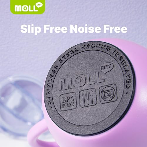 Tumbler with Lid and Straw-12 oz Stainless Steel Double Wall Vacuum Insulated Tumbler Cup with Handle (Canyon Red-Sky Blue)