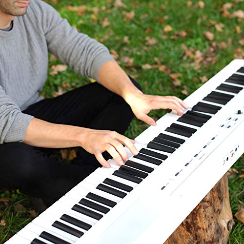 Alesis Recital – 88 Key Digital Piano Keyboard with Semi Weighted Keys, 2x20W Speakers, 5 Voices, Split, Layer and Lesson Mode, FX and Piano Lessons