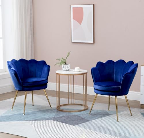 Velvet Accent Chairs Set of 2 for Living Room, Mid Century Modern Arm Chair, Comfy Vanity Chair for Makeup Room, Reception Armchair with Golden Legs for Bedroom, Grey