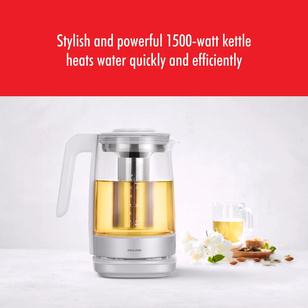 ZWILLING Enfinigy Glass Kettle, Tea Kettle, Silver