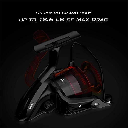 KastKing Brutus Spinning Reel, Freshwater Spinning Fishing Reels, Graphite Frame, CNC Aluminum Spool, 5.2:1 Gear Ratio, 4+1 Ball Bearings